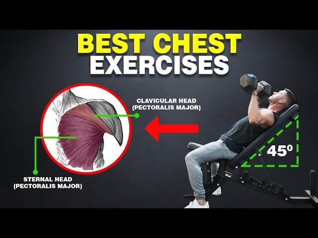 7 Best Chest Exercises for BIGGER PECS