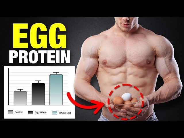 Eggs: The BEST Muscle-Building Food (6 scientific studies)