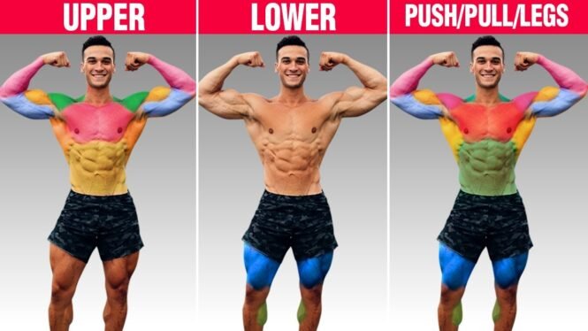 The Best 5-Day Workout Split for Muscle Growth