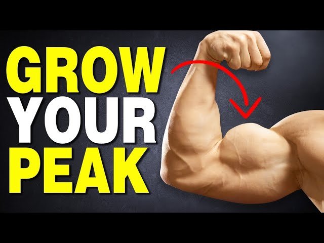 How to Grow Your Biceps Peak (4 Exercises)